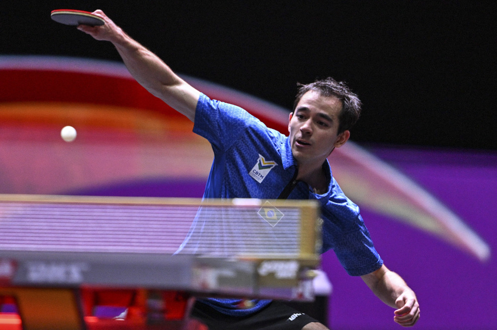 浙江队都能 浙江队都能